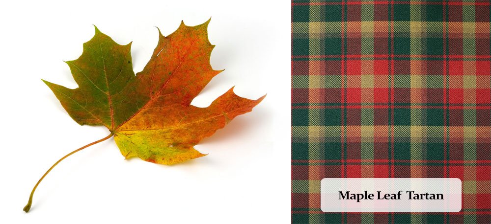The Surprisingly Interesting History of Plaid